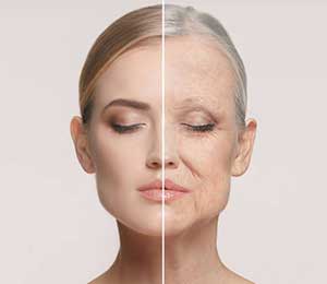 Anti-Ageing